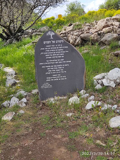 אנדרטת "ארז השמונה" גדוד סיור 134