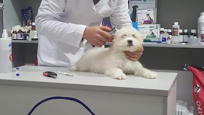 4 Animals Veterinary Clinic