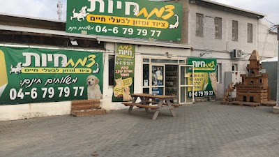 צמח חיות