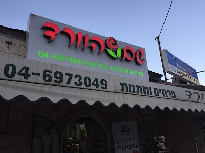 שם הורד