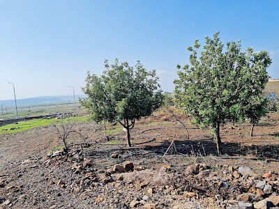משק נעמי