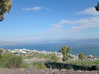 אלעד מלל - מורה דרך