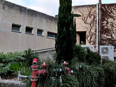 בית כנסת רמת מגשימים