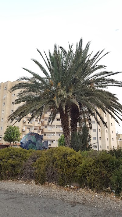 משטרה