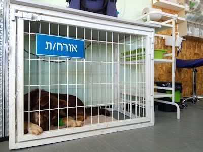 ד"ר אלון וטרינר צפון הכנרת