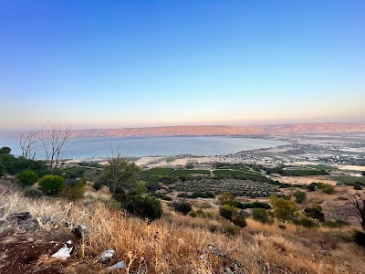 ורזגר ביטוחים
