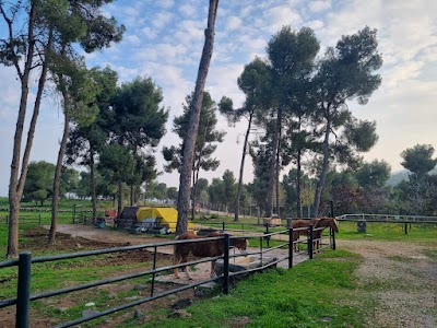 חוות אצטרובל