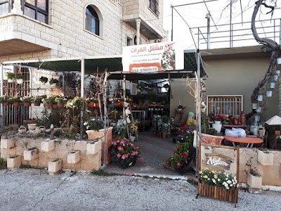 משתלת אלפוראת ריים