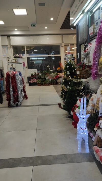 קניון לב קצרין