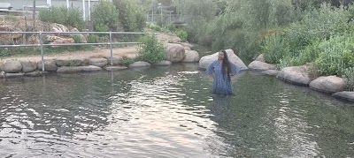 כפיר נכסים