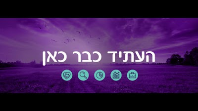 שדה ביטוחים - שירן שדה