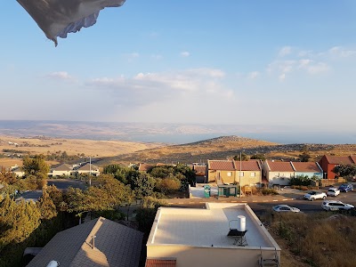 צפונה