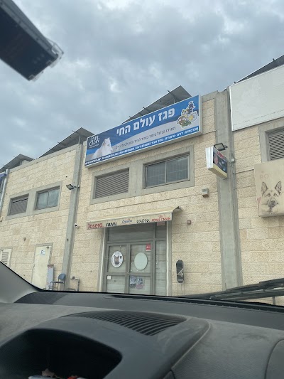 פגז עולם החי