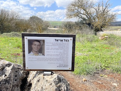בצל אריאל