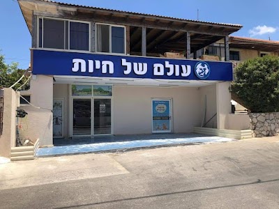 עולם של חיות