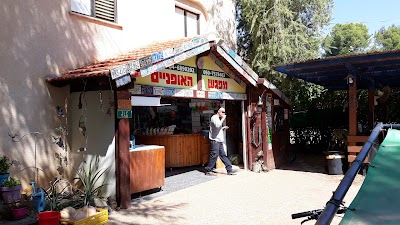 מפגש האופניים