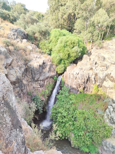 חניון נחל גילבון