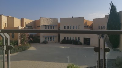 מכללת אדיר במרום
