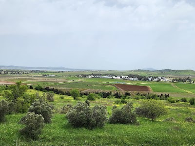 מצפור כוח נתי