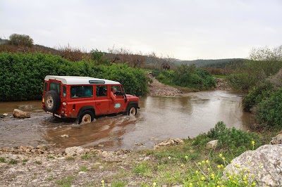 טיולי ג'יפים אמא אדמה
