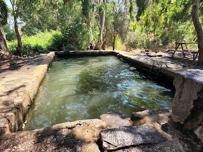 בריכת אורחה ג'וחדר