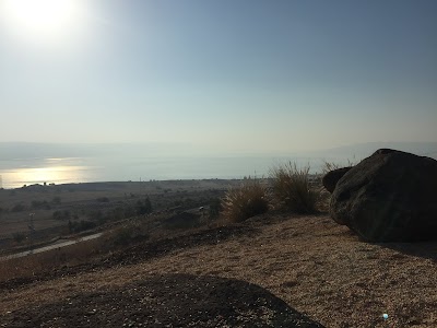 אחוזת עלמה בגליל