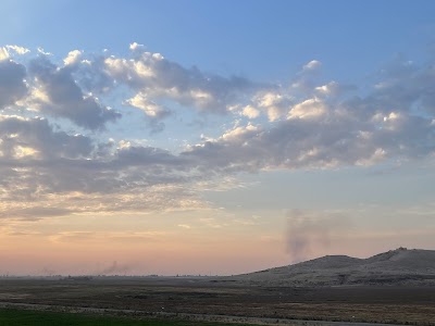 عامرية الحسو