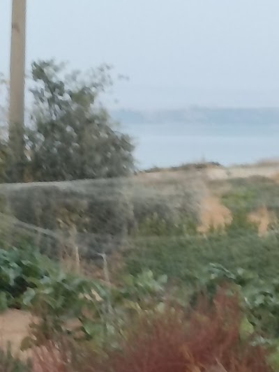 علي ابراهيم الاحمد ابو الخطاب