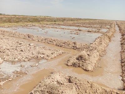 عشرة حمزو معو