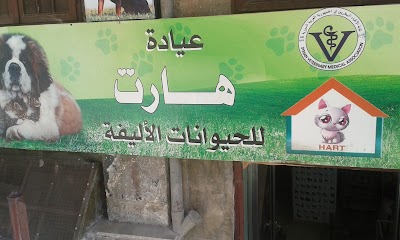 عيادة هارت للحيوانات الأليفة د.أحمد وليد الصالح