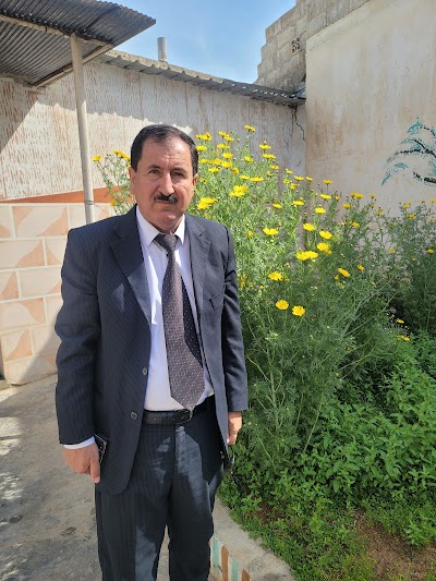 عيادة طبيب اطفال د نصر عبدي