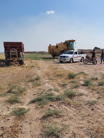 عيال ألرشاد
