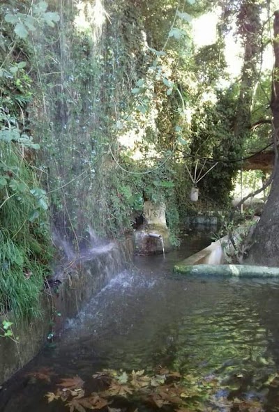 عين البطم