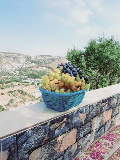 عين البيضة ادلب سوريا