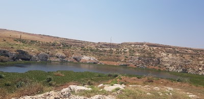 عيو