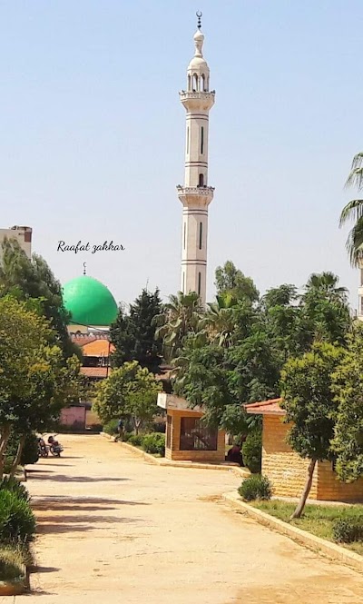 Abo Bakr