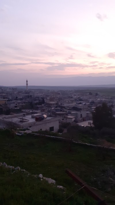 ابو ليث للعصافير