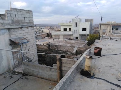 أبو تركي