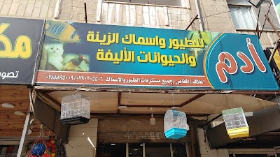 ادم للطيور واسماك الزينه