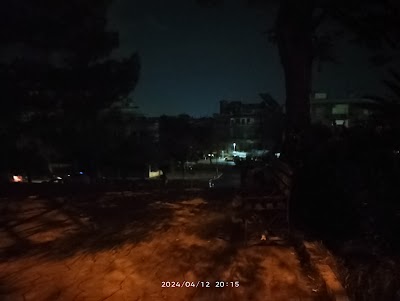 Adnan Alalki garden