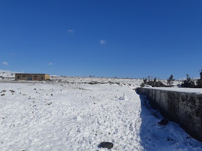 Agricultural Farm