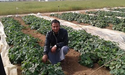 Ahmed Hamid Ebadi pharmacy agricultural