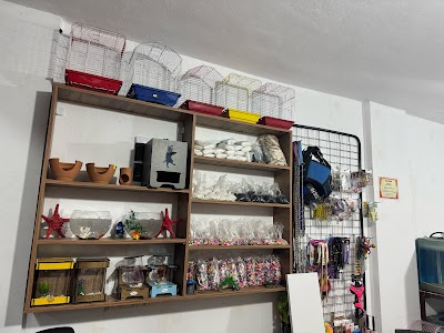 Akbez Eylül Petshop