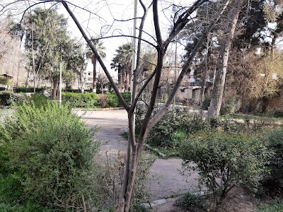 Al-Amal Hospital
