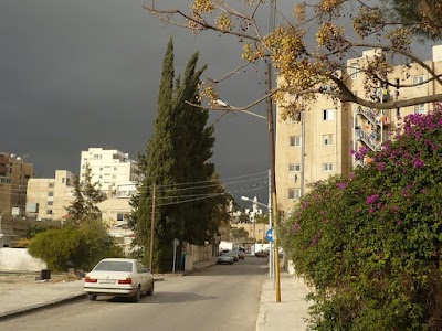 Al Andalus Commercial Building