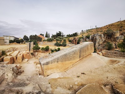 Al Habli World Biggest Stone