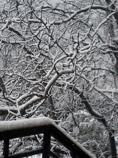 Al-Qods Pharmacy - Machghara