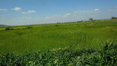 Al-Safirah