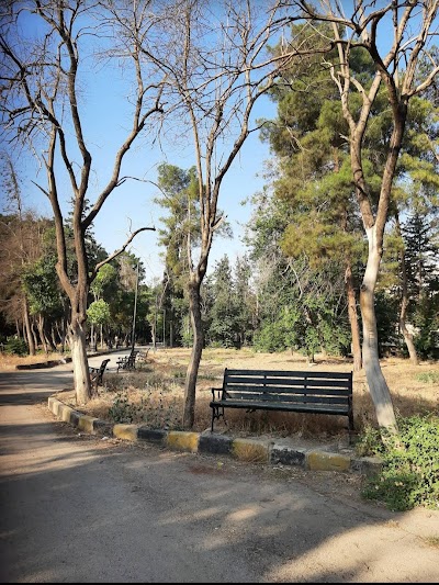 Al-Shahba public garden