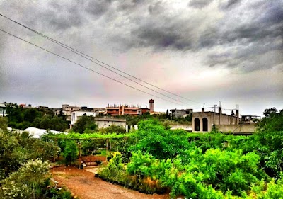 العريضة